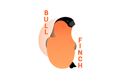 Bull Finch birds design illustration typography vector