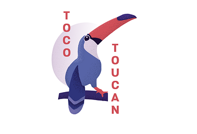 Toco Toucan birds design illustration typography vector