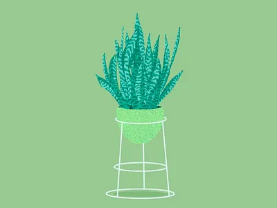 Dracaena trifasciata - Snakeplant illustration botanical digital illustration dracaena trifasciata drawing illustration plant plant stand planter procreate illustration snakeplant