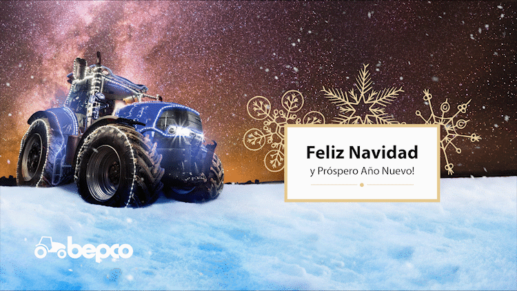 Feliz Navidad advertisement animation banners branding design graphic design marketing web design