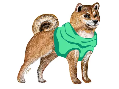 Shiba Inu's mysterious smile 😀 art artwork bookillustration character character design digital art digital painting dog doggie flatart illustration ipadproart kidsillustration shiba inu shibainu vector art vector illustration