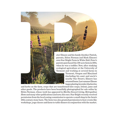 Lavender Farm intro editorial design graphic design layout design publication design type as image typogaphy