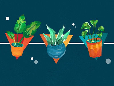 Green Thumb adobe illustrator adobe illustrator cc adobe photoshop adobe photoshop cc colorful digital digital art digital illustration drawing geometric green thumb illustration illustrator plant plant illustration plants playful succulent succulents texture