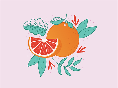 Citrus 2 ai citrus fruit fruit illustration illustration
