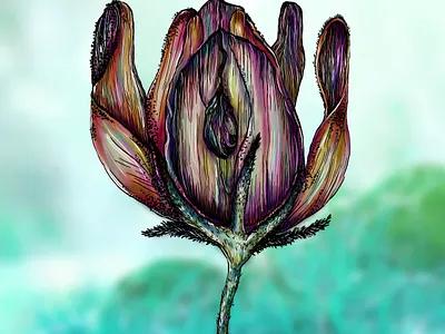 Flower IV adobe photoshop art beautiful colorful design digital art digital artwork digital illustration digital painting drawing fantasy flora floral floral art flower illustration nature nature illustration painting sky