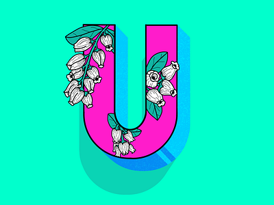 Letter U 36daysoftype letter lettering u