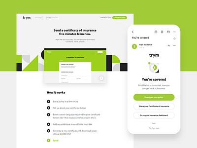 Trym certificate touchpoint brand cover email geometric insurance landing layout web web design