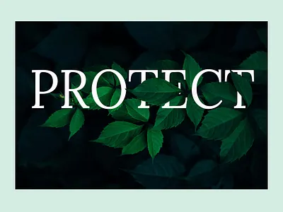 Nature creative nature nature logo nature photography photoshop photoshop art ui uidesign