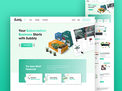 Subbly Start page branding identity illustration subscription ui ux web