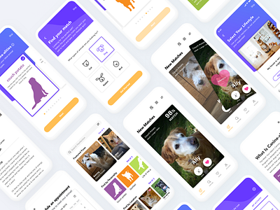 Pawfection - Animal adoption app branding concept interaction design product design ui ux visual design