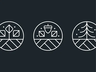 Seasonal Icons acron autumn badge circle fall icons icons set leaf line linework minimal pine seasons simple spring tree winter