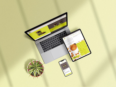Skyebird Keto food website ecommerce website design food website keto skyebird