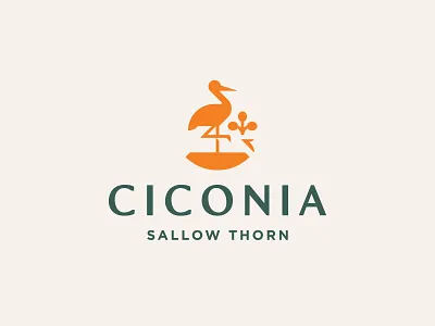 CICONIA berry branding buckthorn green healthy logo mark stork type