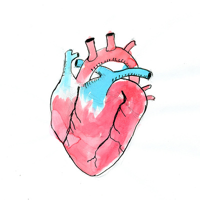 Heart Illustration illustration ink watercolor
