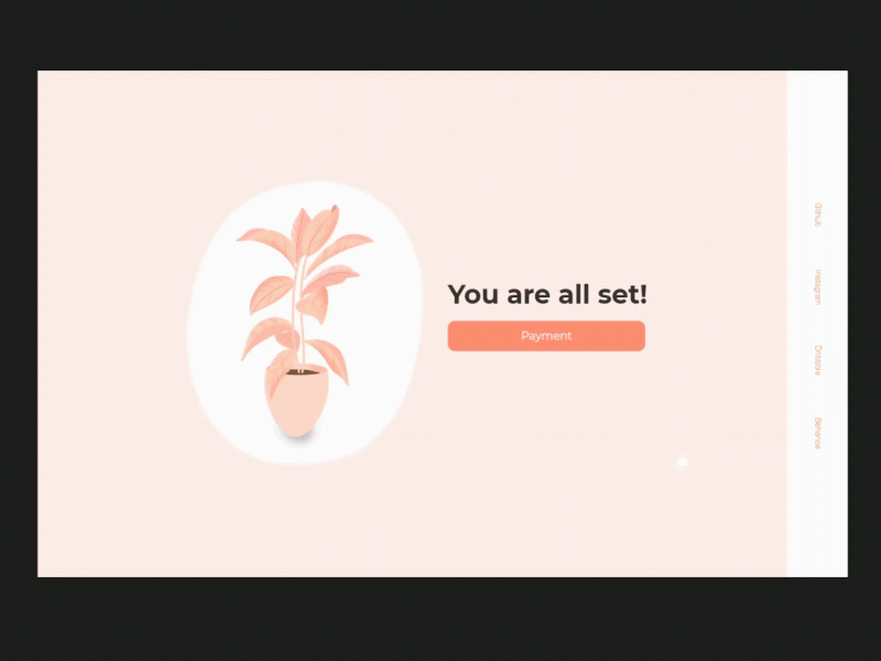 Example of Credit card checkout web UI