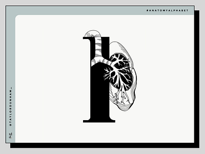 An anatomy alphabet: L is for lung 36daysoftype 36daysoftype07 anatomy anatomy alphabet illustration illustration design illustrator lettering vector illustration vector illustrations