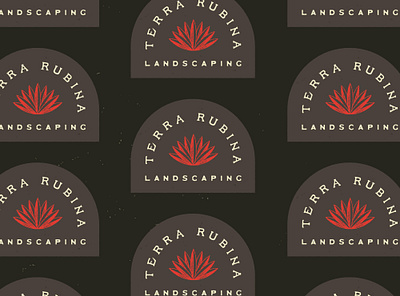Terra Rubina Logo Concept agave agency branding branding branding design design graphic design icon illustration landscaping lettering logo logodesign retro typography vector vintage