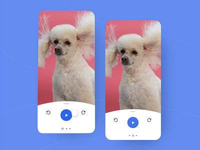 Video Sharing App: Share Options adobe xd adobexd animation app dog edit freelance funny mobile movie music play preview prototype share sharing video video app video edit video player