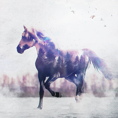 Horse design digital art fantasy art graphic design photocomposition photomanipulation photoshop surreal art surrealism visual arts