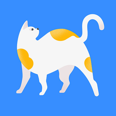 Cat doodle art direction cat design doodle drawing flatdesign illustration vector