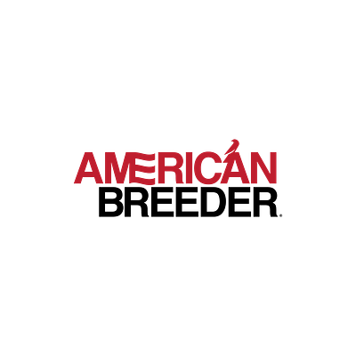 American Breeder | Magazine american bird brand branding breeder logo logo design logos logotype