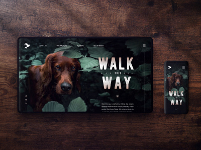 Walk This Way - Dog Walker Concept Design canine concept content dailyui dailyux dog doggo doggy interface leaf mobile mockup oak ui ux walk web website websites wood