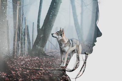 Master Double Exposure Photoshop Actions add on add ons adobe adobe photoshop adobe photoshop cc design digital art double exposure download graphic design lightroom multi exposure photography photoshop photoshop action photoshop art photoshop template photoshop templates template templates