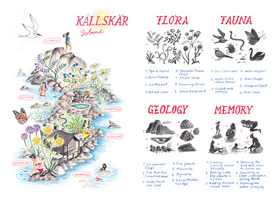 Adventure Island Map botanical educational illustration illustration art illustrator maps nature illustration science wildllife