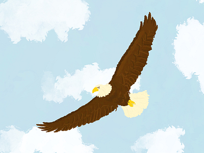 Eagle illustration