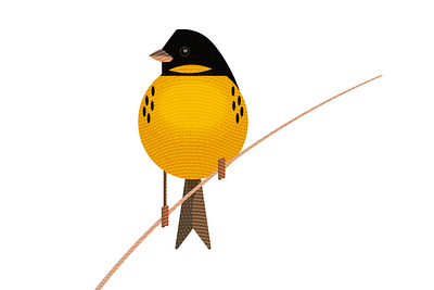 Yellow-breasted Buting bird china chinese extinction texture vector wildlife