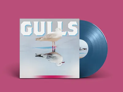 GULLS - Concept Album Art album album art album artwork album cover design brothers design seagull vinyl vinyl cover