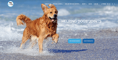 TopDogHealth ecommerce ecommerce design wordpress blog wordpress design wordpress development