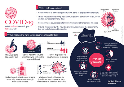 corona virus infographic coronavirus covid19 design illustration infographic minimal minimalist procreate