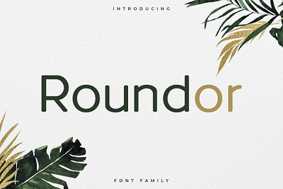Roundor Font Family – Rounded Sans Serif Font font free font free typeface freebie illustration sans serif sans serif sans serif font typeface typeface design
