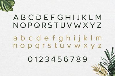 Roundor Font Family – Uppercase Lowercase Numbers font free font free typeface freebie illustration sans serif sans serif sans serif font typeface typeface design