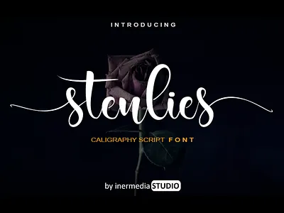 Stenlies brand branding caligraphy font cute font illustration modern font professional quote script shirt swash swash typogaphy swash typography typeface typogaphy vector vintage wedding invitation
