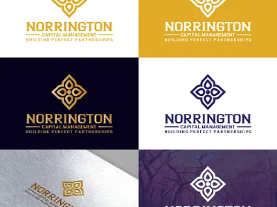 Abstract logo abstract logo branding businesslogo companylogo design eco logo flower logo hand drawn illustration logo design nature nature logo nature photography vector