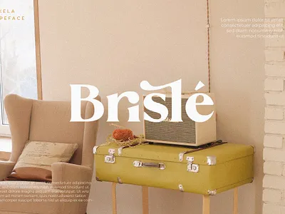 Mikela - Three Gorgeous Typefaces branding design elegant fonts font font design fonts fonts collection lettering logo logo fonts modern fonts roman fonts sans serif script fonts serif serif font serif fonts simple typeface typography