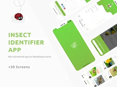 Insects Identifier App || UX UI android app design green illustration illustrator information architecture insects ios prototype ui ux website wireframes xd xd design