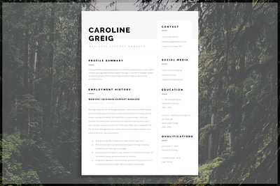 Professional Resume clean resume creative resume curriculum vitae cv template download free modern modern resume professional professional logo resume resume cv resume template template