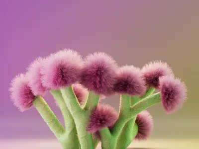 Strange flowers arnold cinema 4d design illustration render