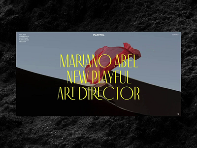 Playful Creative Collective Project Page. animation design interaction interface promo typography ui ux video web website