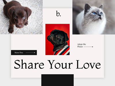 Share your love branding design flat typography ui ux web website website design