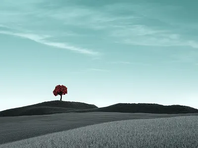 Diorama 04 art direction branding concept art concept visual creative direction design digital illustration graphic art illustration print