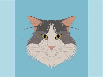 Finch cat cats digital digital art illustration illustrator line lineart meow