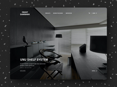 Frost Denmark Redesign branding dark dark mode dark ui denmark design ecommerce ecommerce design interior design minimal scandinavian design type typo typography ui web website