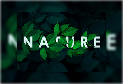 Nature app design figma ui uiux ux web design