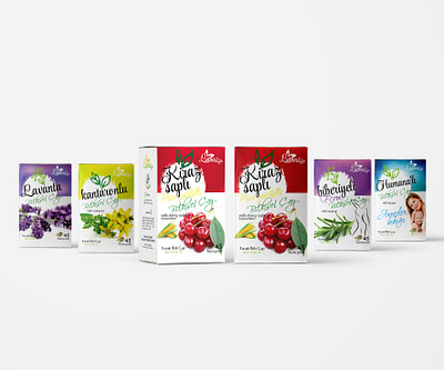 Herbal tea packaging design drawing herbal herbaltea home natural packing packing design tea vector