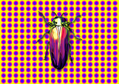 bzzz abstract app architecture art art direction artist artwork beetle colour colourful daily design drawing dribbble dribbbledaily illustration insect logo pattern