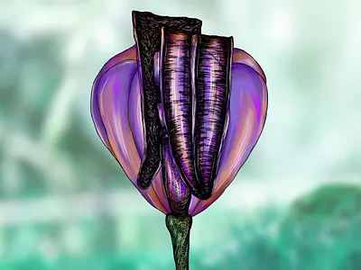 Flower VII adobe photoshop art beautiful colorful colors digital art digital illustration digital painting drawing fantasy flower flower illustration forest illustration nature nature art painting purple sky